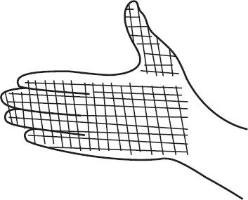 Иллюстрация к книге — Справочник по лечебному массажу и самомассажу. От диагноза к лечению [_6.jpg]