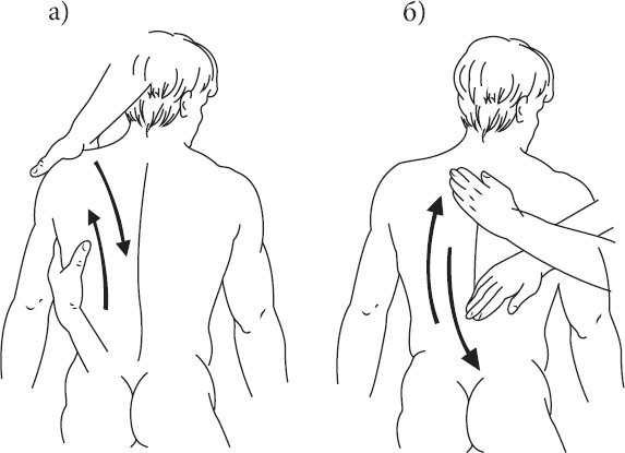 Иллюстрация к книге — Справочник по лечебному массажу и самомассажу. От диагноза к лечению [_9.jpg]