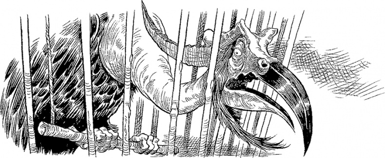 Иллюстрация к книге — Хроники Края. Громобой [i_008.jpg]