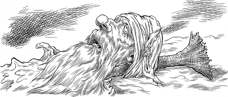 Иллюстрация к книге — Хроники Края. Громобой [i_117.jpg]