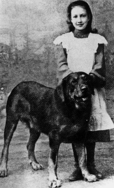 Иллюстрация к книге — Воспоминания [i_003.jpg]