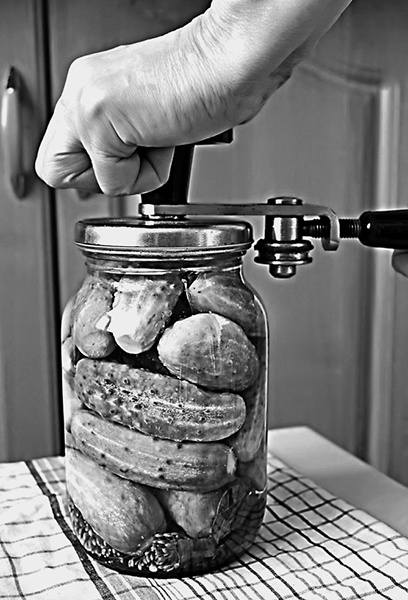 Иллюстрация к книге — Консервирование для всех, кому за… Быстрые и проверенные рецепты [block_001256_page_008_image_0001.jpg]