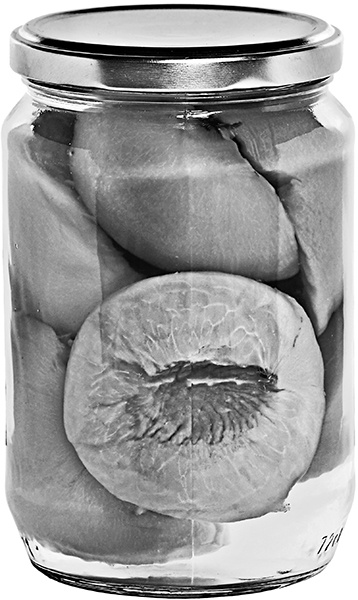 Иллюстрация к книге — Консервирование для всех, кому за… Быстрые и проверенные рецепты [block_001256_page_116_image_0003.jpg]