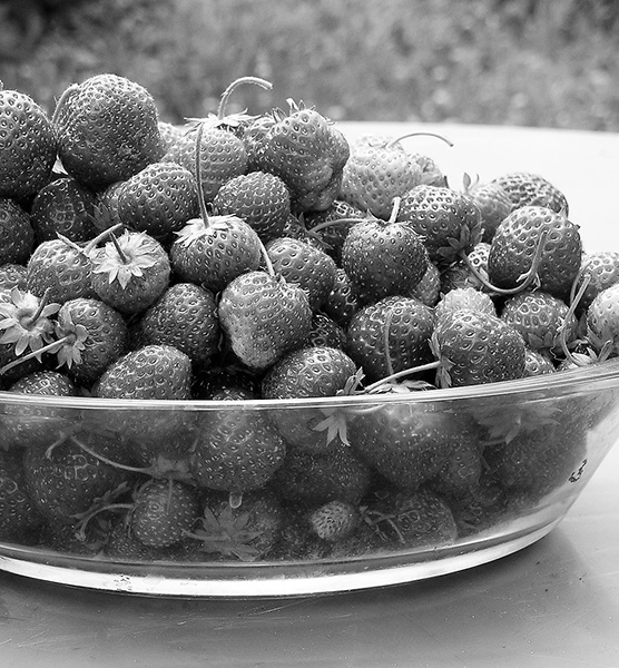 Иллюстрация к книге — Консервирование для всех, кому за… Быстрые и проверенные рецепты [block_001256_page_138_image_0001.jpg]