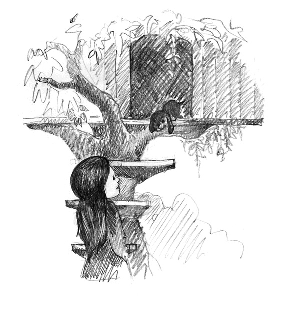 Иллюстрация к книге — Щенок Тоби, или Старший друг [i_009.jpg]