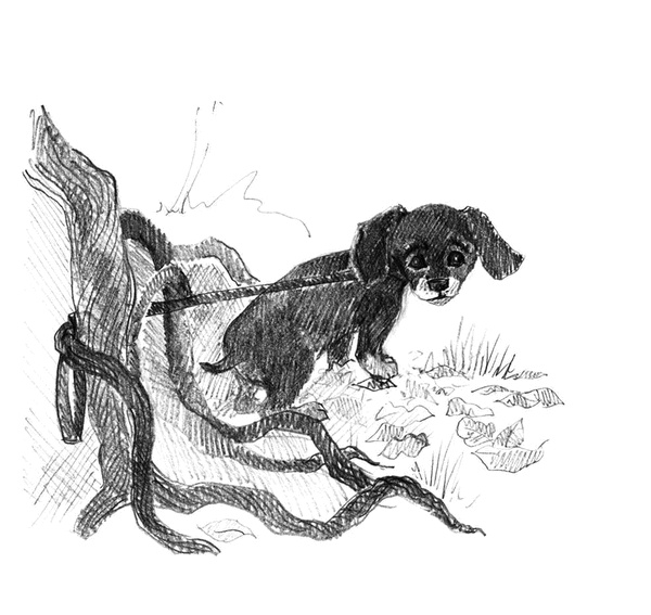 Иллюстрация к книге — Щенок Тоби, или Старший друг [i_016.jpg]