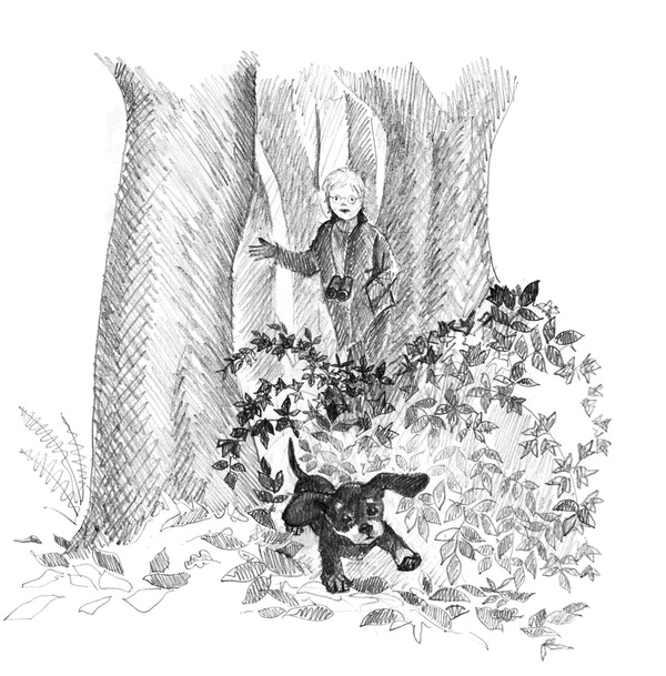 Иллюстрация к книге — Щенок Тоби, или Старший друг [i_017.jpg]