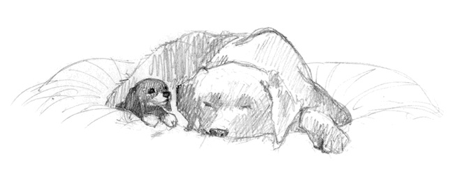 Иллюстрация к книге — Щенок Тоби, или Старший друг [i_024.jpg]