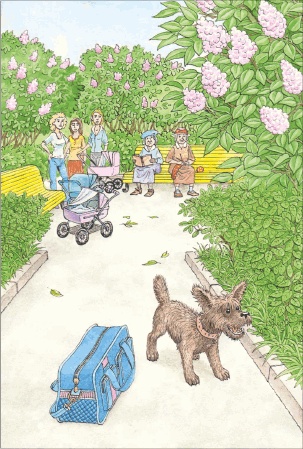 Иллюстрация к книге — Тошка, собачкин сын [i_006.jpg]