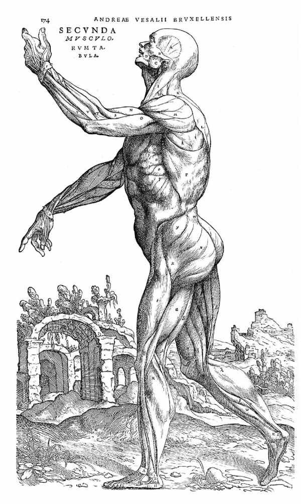 Иллюстрация к книге — Эпоха открытий. Возможности и угрозы второго Ренессанса [i_009.jpg]