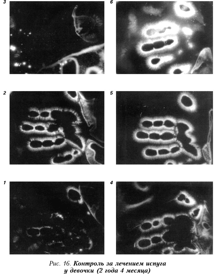 Иллюстрация к книге — Начало начал [_153550.jpg]