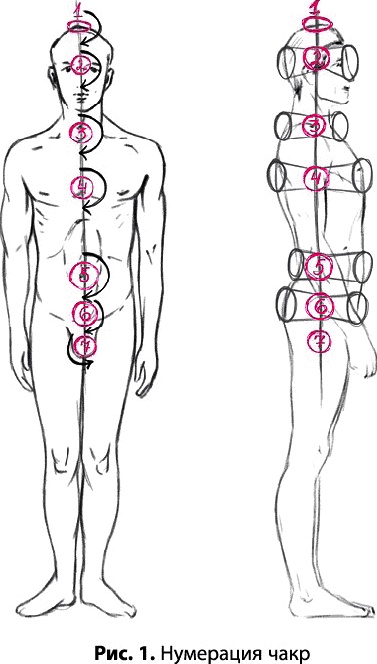 Иллюстрация к книге — Тайное знание не для всех. Секреты целителя [_0068.jpg]