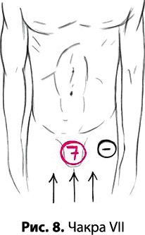 Иллюстрация к книге — Тайное знание не для всех. Секреты целителя [_0074.jpg]