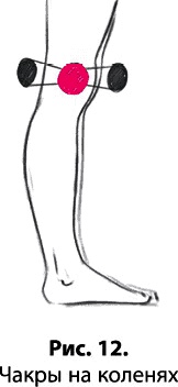 Иллюстрация к книге — Тайное знание не для всех. Секреты целителя [_0121.jpg]