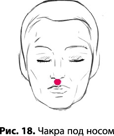 Иллюстрация к книге — Тайное знание не для всех. Секреты целителя [_0128.jpg]