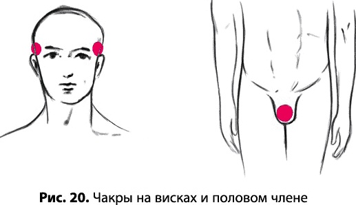 Иллюстрация к книге — Тайное знание не для всех. Секреты целителя [_0132.jpg]