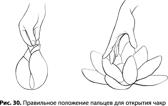 Иллюстрация к книге — Тайное знание не для всех. Секреты целителя [_0198.jpg]