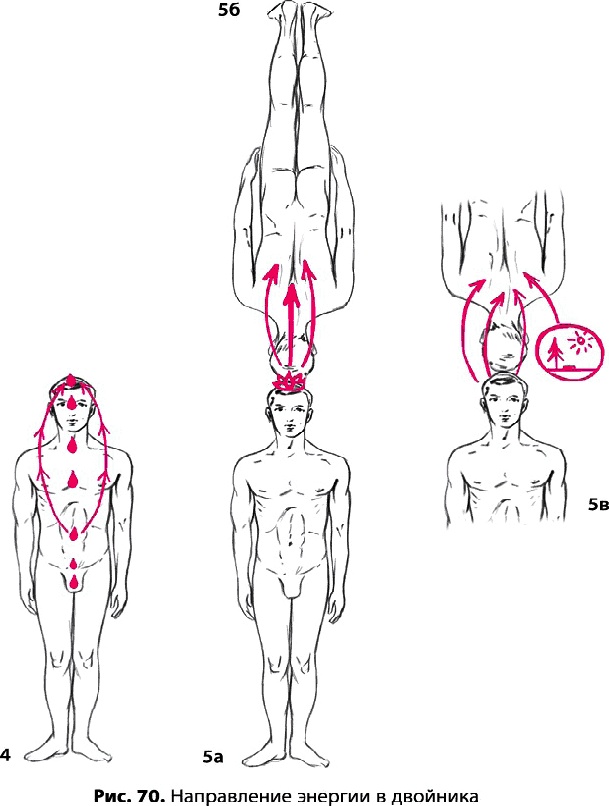 Иллюстрация к книге — Тайное знание не для всех. Секреты целителя [_0487.jpg]