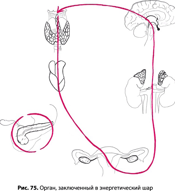 Иллюстрация к книге — Тайное знание не для всех. Секреты целителя [_0530.jpg]