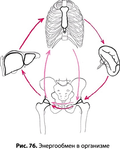 Иллюстрация к книге — Тайное знание не для всех. Секреты целителя [_0537.jpg]