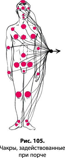 Иллюстрация к книге — Тайное знание не для всех. Секреты целителя [_0700.jpg]