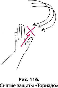 Иллюстрация к книге — Тайное знание не для всех. Секреты целителя [_0814.jpg]