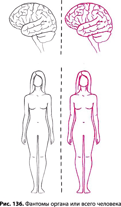 Иллюстрация к книге — Тайное знание не для всех. Секреты целителя [_0966.jpg]