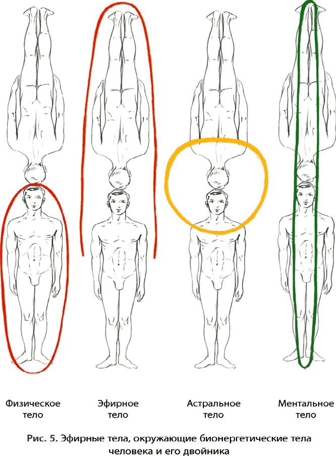 Иллюстрация к книге — Тайное знание не для всех. Секреты целителя [_1228.jpg]