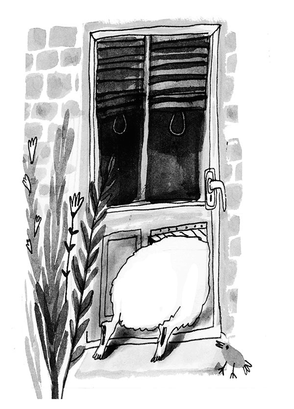 Иллюстрация к книге — Дневник кота-убийцы. Все истории (сборник) [i_006.jpg]