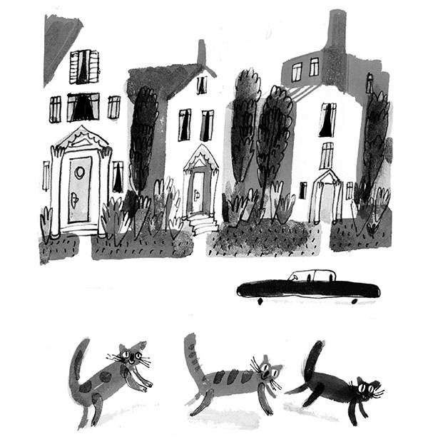 Иллюстрация к книге — Дневник кота-убийцы. Все истории (сборник) [i_009.jpg]