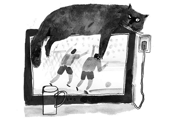 Иллюстрация к книге — Дневник кота-убийцы. Все истории (сборник) [i_015.jpg]