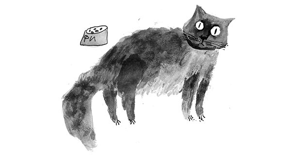 Иллюстрация к книге — Дневник кота-убийцы. Все истории (сборник) [i_016.jpg]