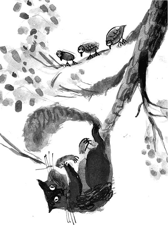 Иллюстрация к книге — Дневник кота-убийцы. Все истории (сборник) [i_017.jpg]