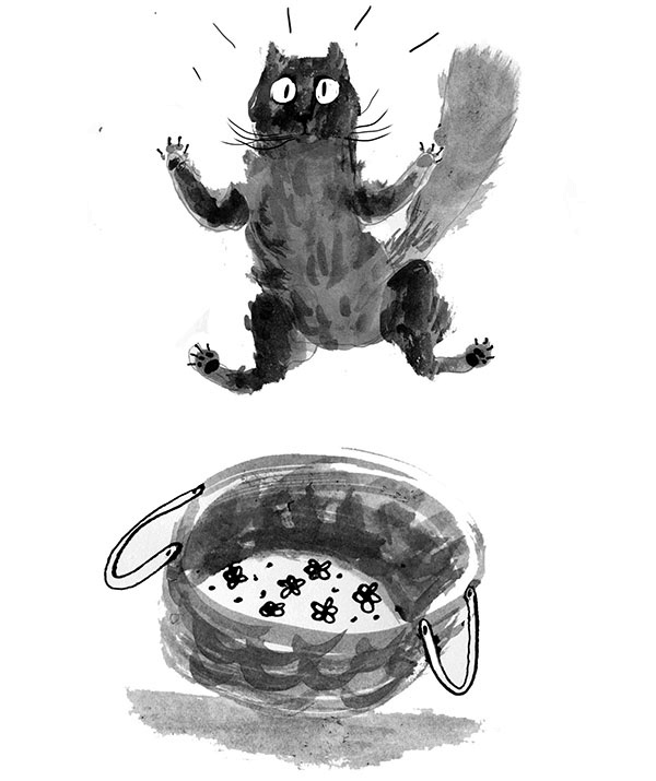 Иллюстрация к книге — Дневник кота-убийцы. Все истории (сборник) [i_019.jpg]