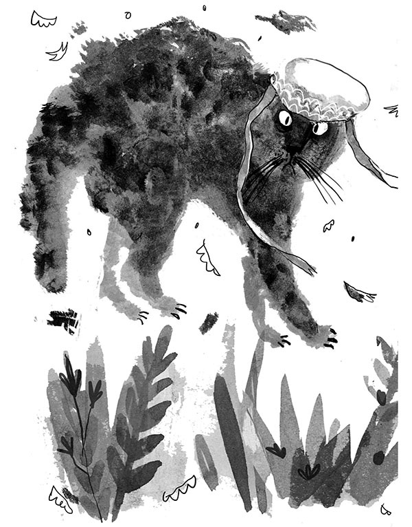 Иллюстрация к книге — Дневник кота-убийцы. Все истории (сборник) [i_022.jpg]