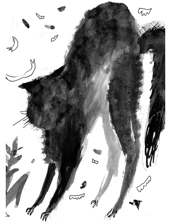 Иллюстрация к книге — Дневник кота-убийцы. Все истории (сборник) [i_023.jpg]