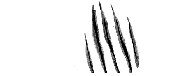 Иллюстрация к книге — Дневник кота-убийцы. Все истории (сборник) [i_025.jpg]