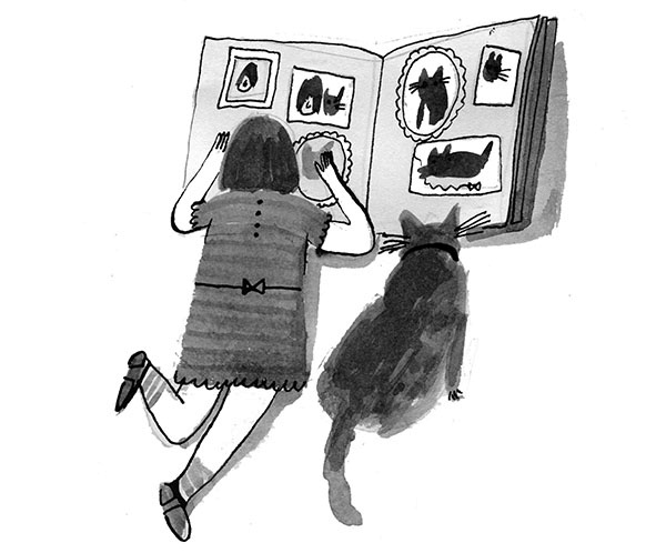 Иллюстрация к книге — Дневник кота-убийцы. Все истории (сборник) [i_031.jpg]