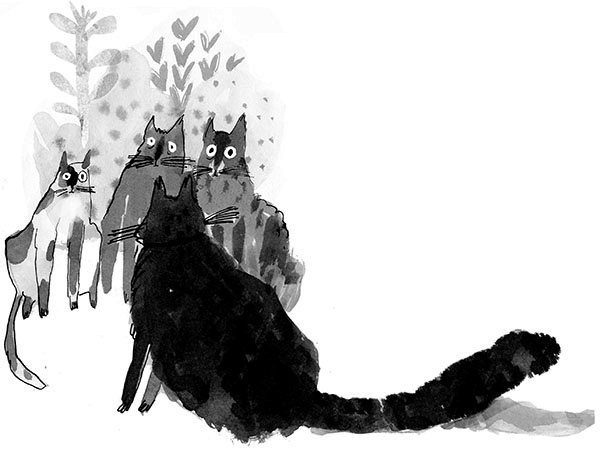 Иллюстрация к книге — Дневник кота-убийцы. Все истории (сборник) [i_032.jpg]