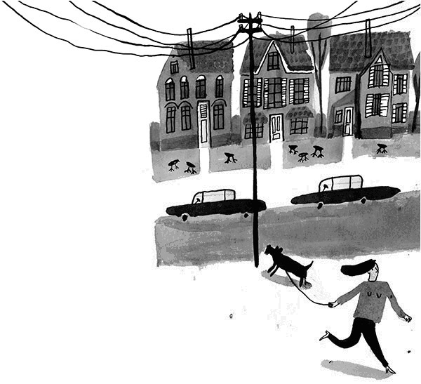 Иллюстрация к книге — Дневник кота-убийцы. Все истории (сборник) [i_034.jpg]