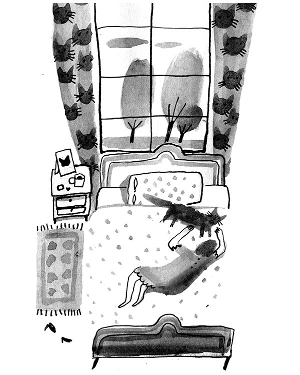 Иллюстрация к книге — Дневник кота-убийцы. Все истории (сборник) [i_049.jpg]
