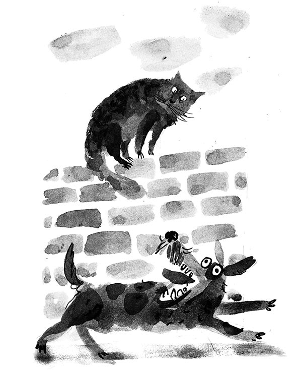 Иллюстрация к книге — Дневник кота-убийцы. Все истории (сборник) [i_051.jpg]