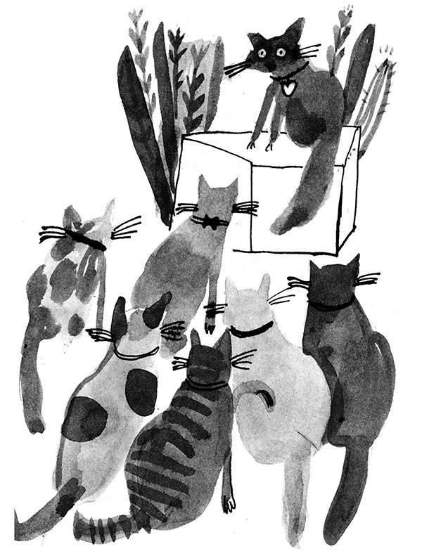 Иллюстрация к книге — Дневник кота-убийцы. Все истории (сборник) [i_053.jpg]