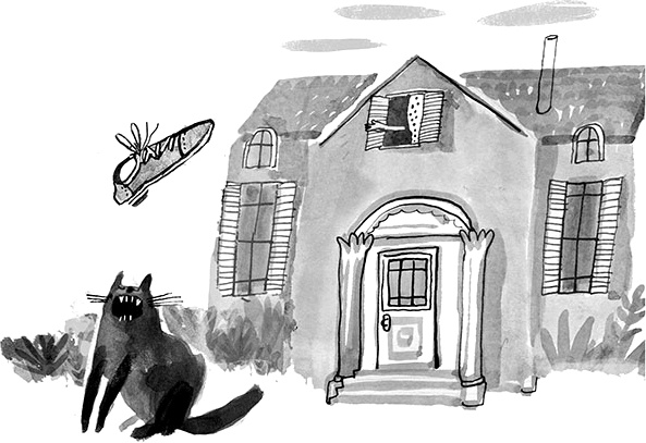 Иллюстрация к книге — Дневник кота-убийцы. Все истории (сборник) [i_058.jpg]