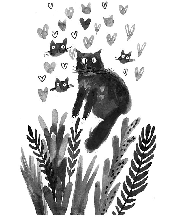 Иллюстрация к книге — Дневник кота-убийцы. Все истории (сборник) [i_059.jpg]