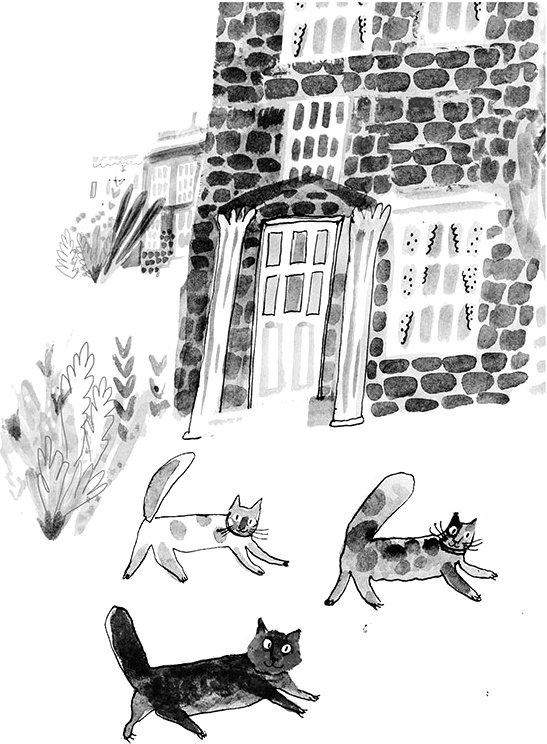 Иллюстрация к книге — Дневник кота-убийцы. Все истории (сборник) [i_060.jpg]