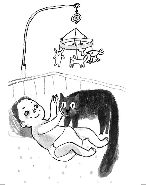 Иллюстрация к книге — Дневник кота-убийцы. Все истории (сборник) [i_061.jpg]