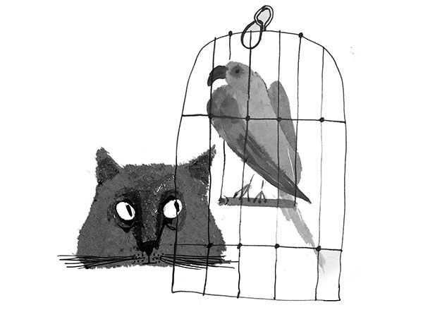 Иллюстрация к книге — Дневник кота-убийцы. Все истории (сборник) [i_067.jpg]