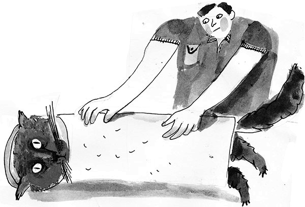 Иллюстрация к книге — Дневник кота-убийцы. Все истории (сборник) [i_071.jpg]