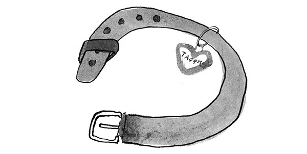 Иллюстрация к книге — Дневник кота-убийцы. Все истории (сборник) [i_075.jpg]